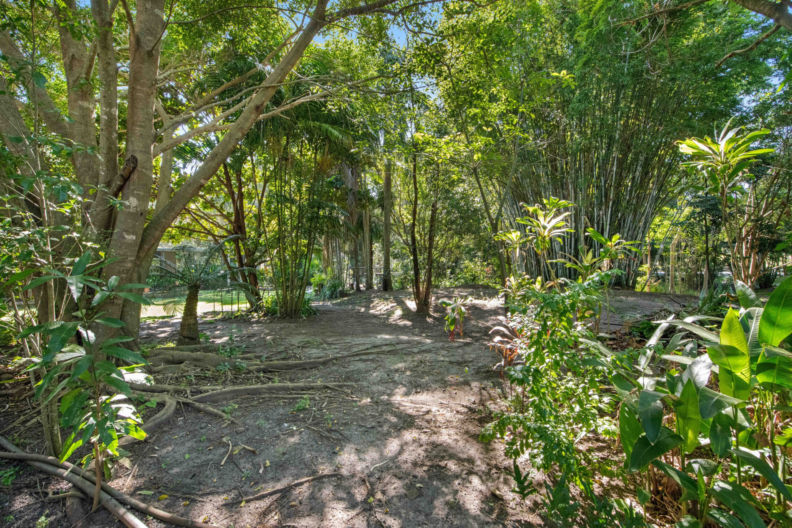 383 Cape Hillsborough Road, Ball Bay QLD 4741 Vision